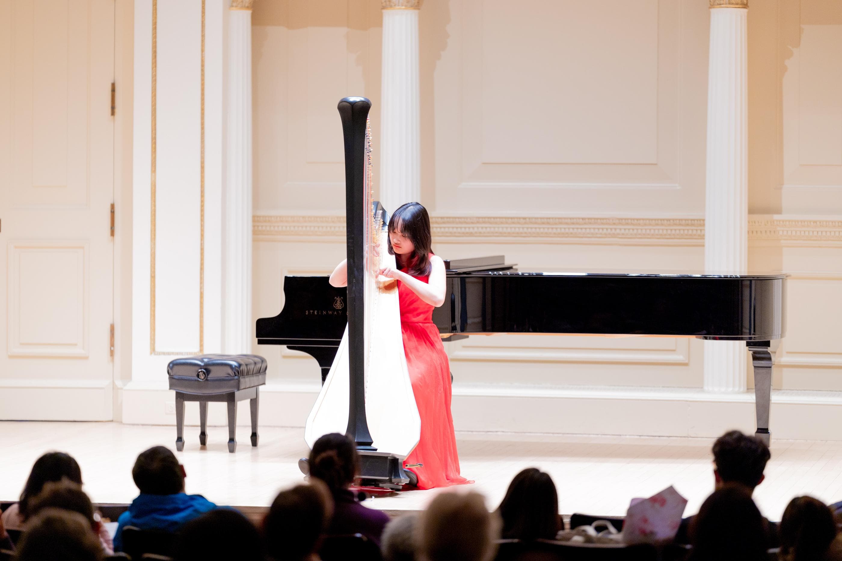Carnegie Hall performance image 1