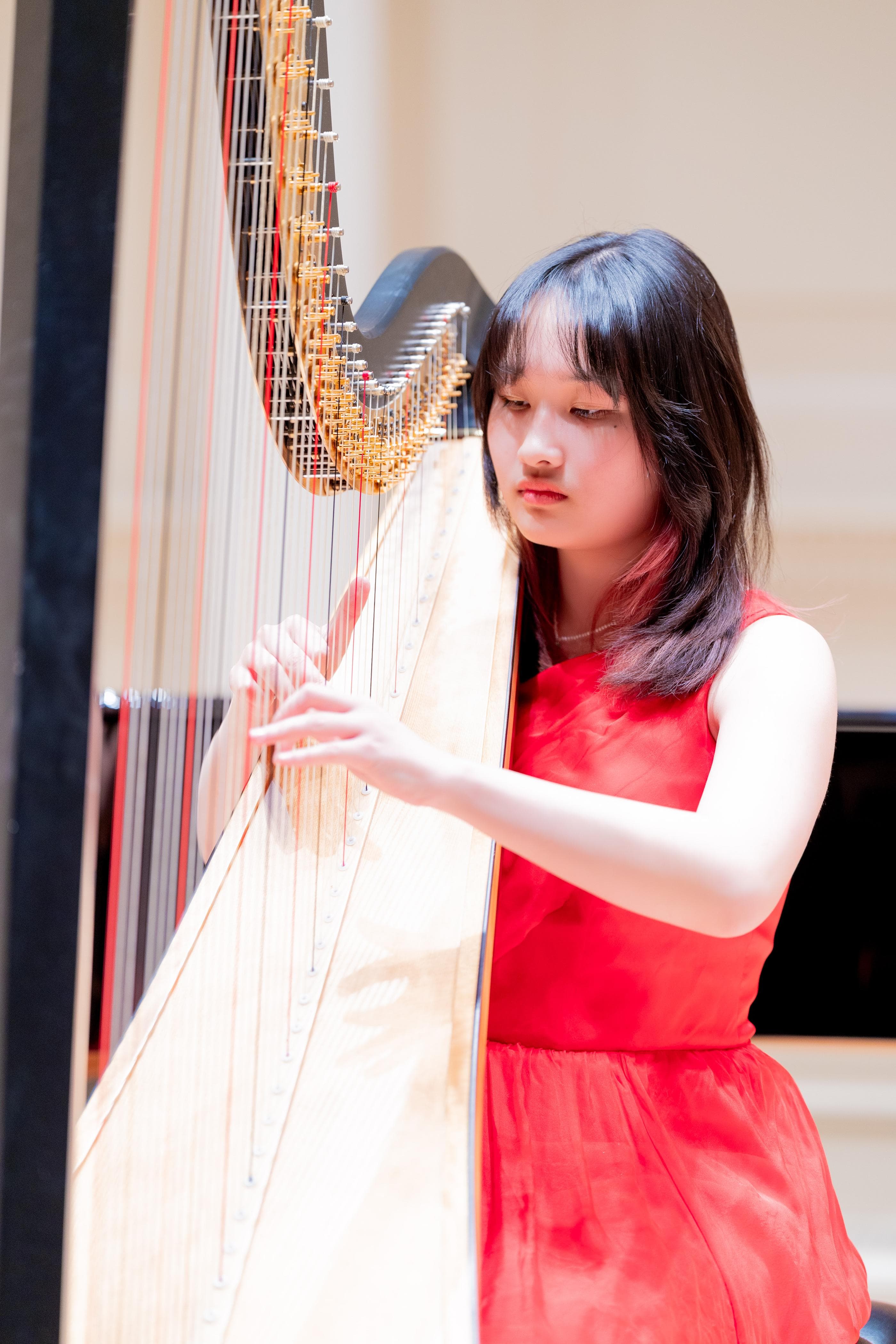 Carnegie Hall performance image 2
