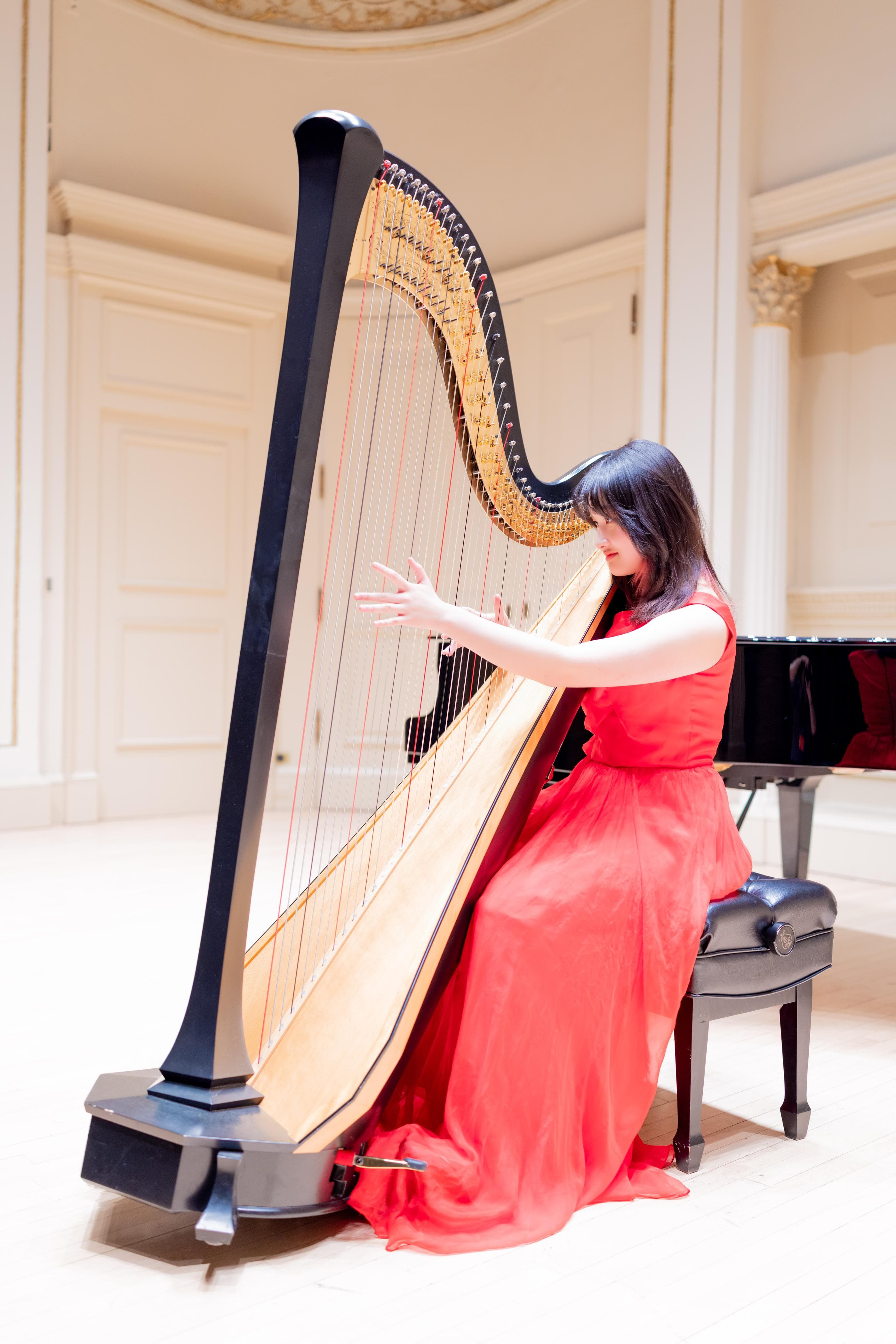 Carnegie Hall performance image 3