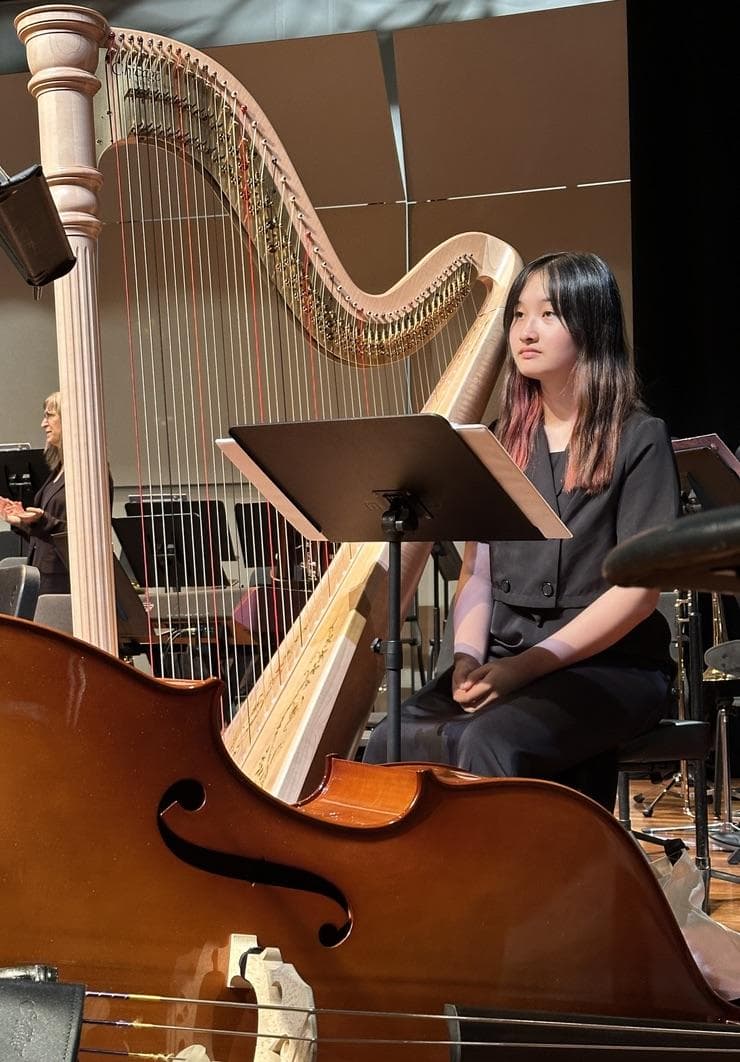Palo Alto Philharmonic image 1